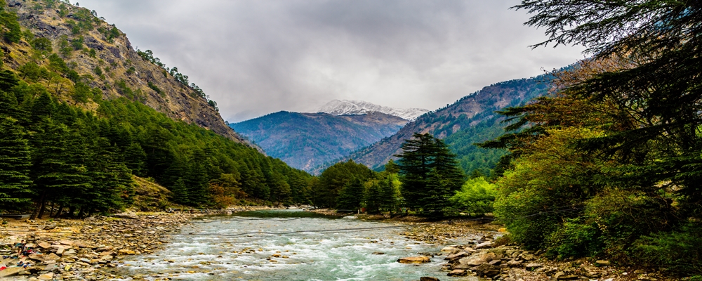 The nature of the Chalal Trek Trail, Sosan, India